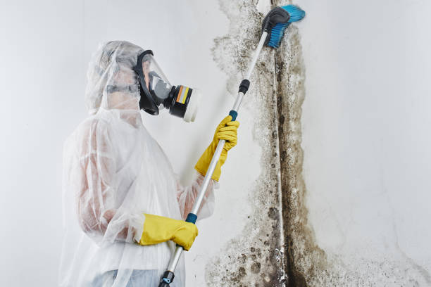 Best Industrial Mold Remediation  in Crescent Springs, KY